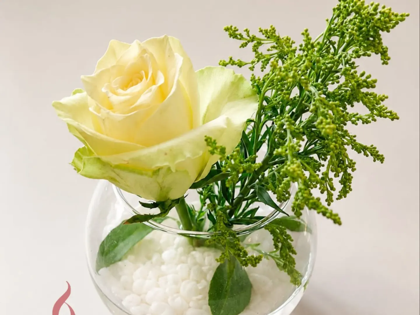 ٢٥٧ روزا الصغيرة