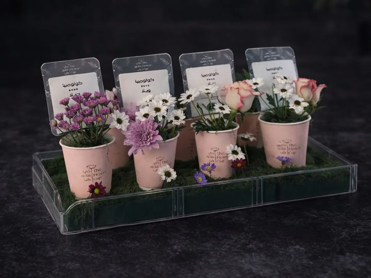 Tibsi Paper Distributions