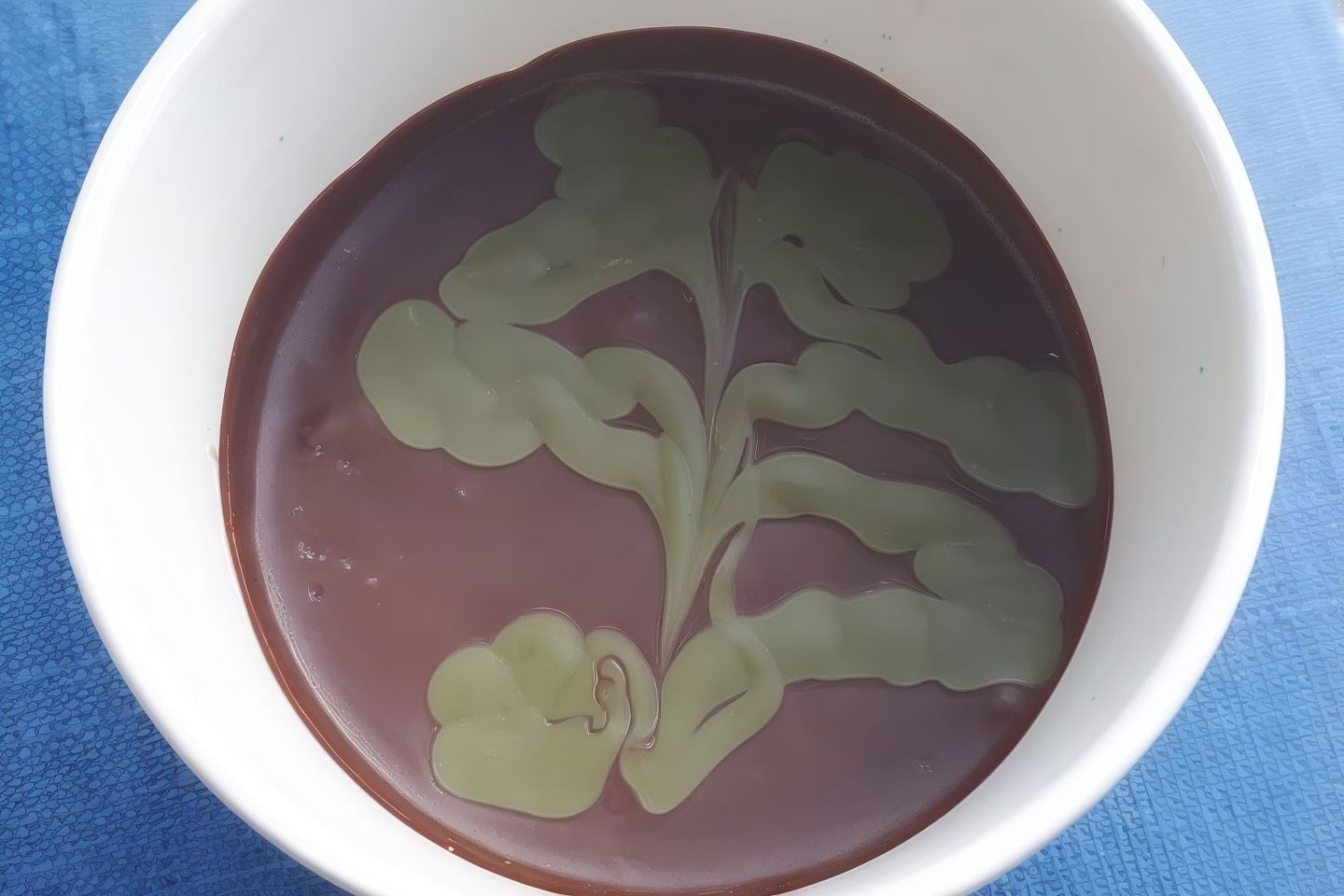 بودينق بستاشيو