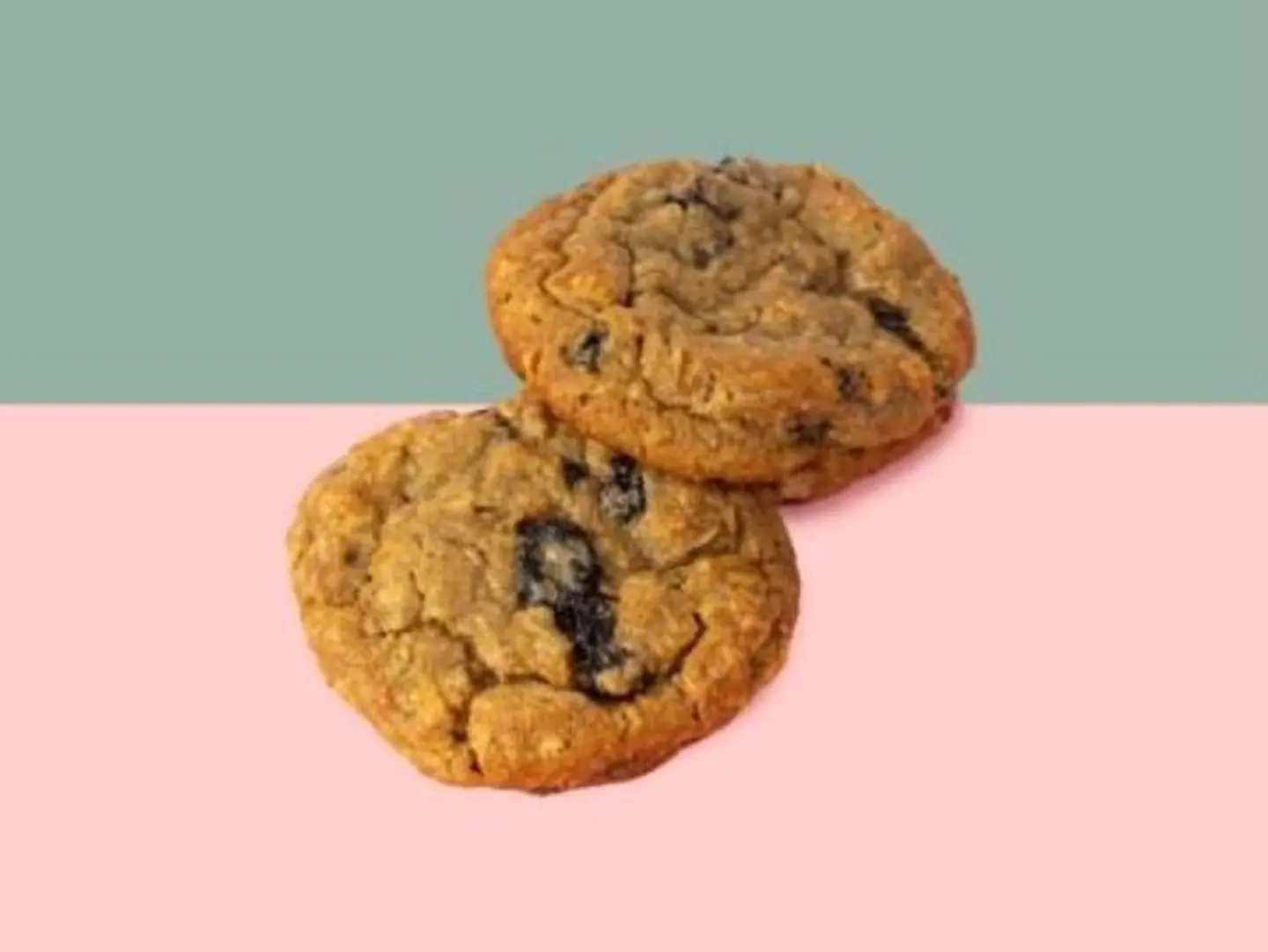 سيجنيتشر كوكيز