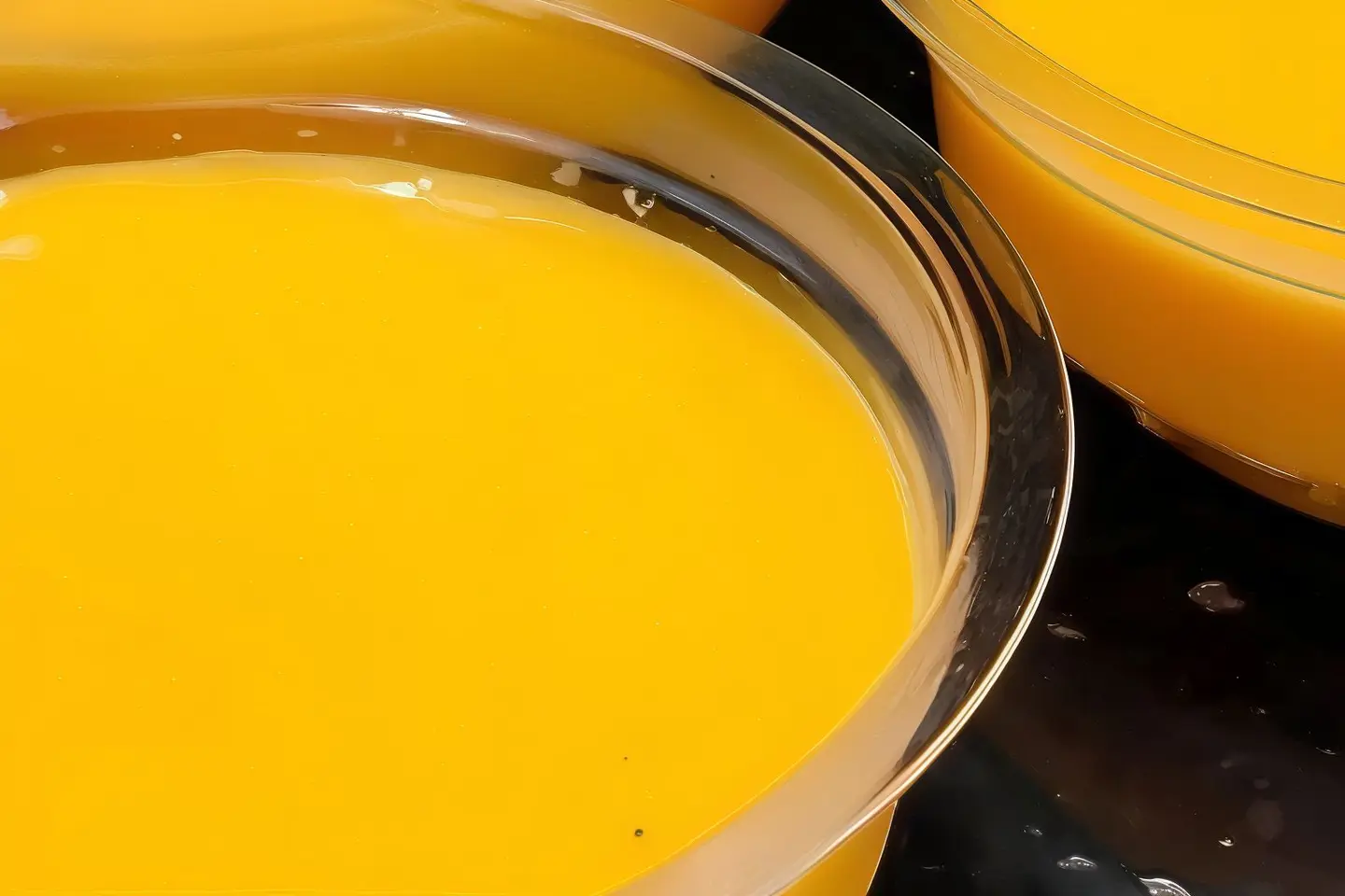 صوص جبنة