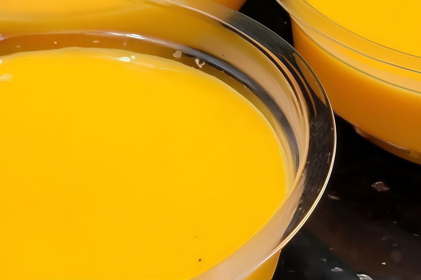 صوص جبنة