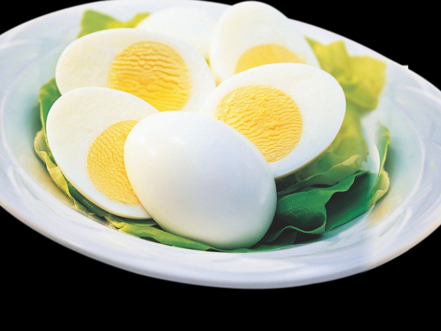 Egg Boil