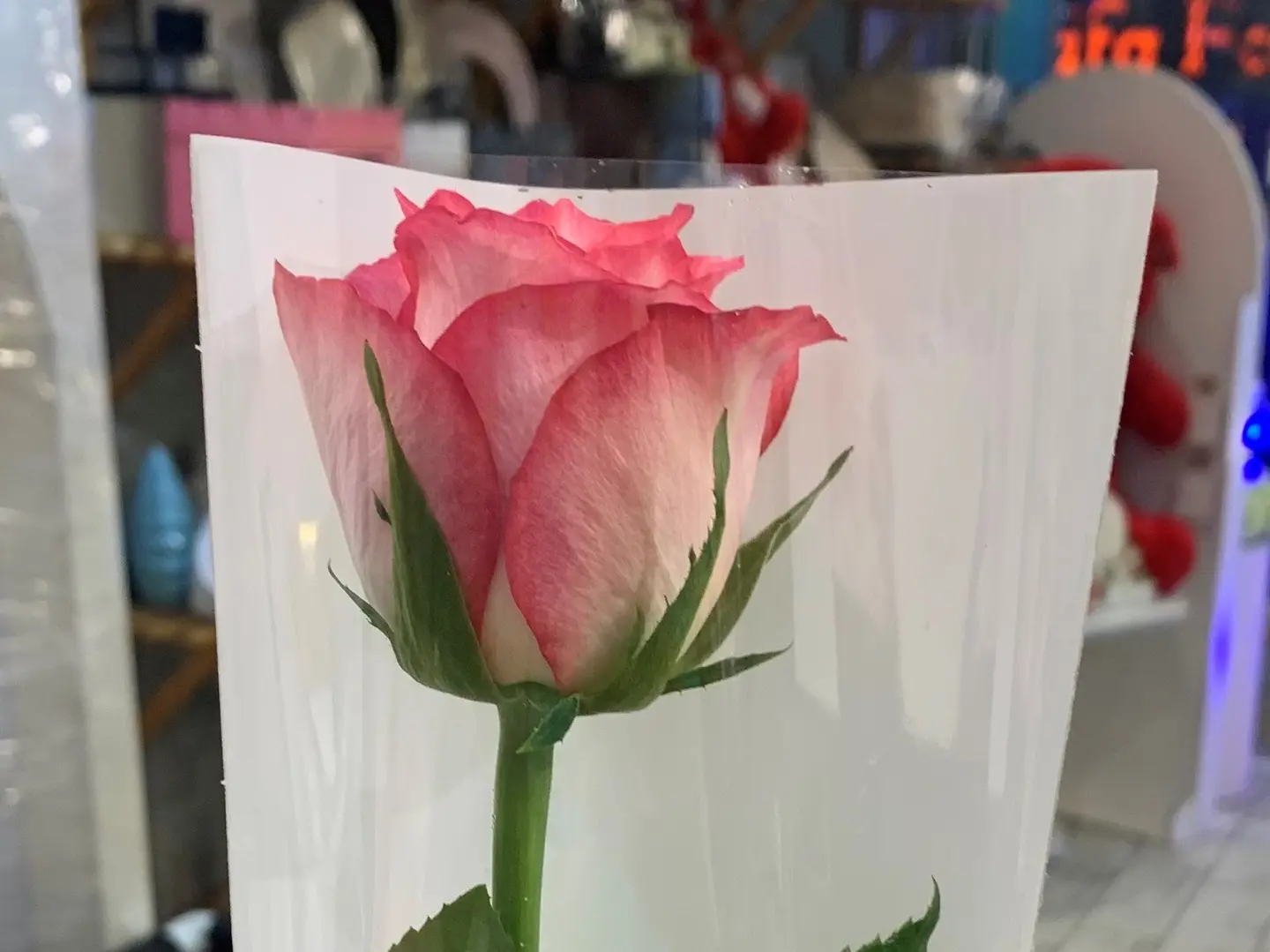 Double Pink Flower