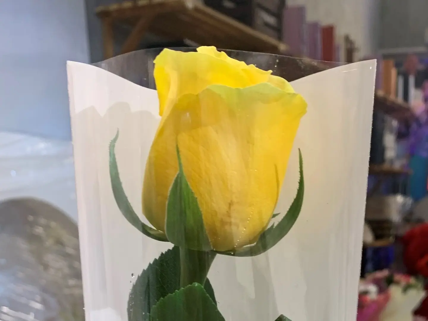 Yellow Flower