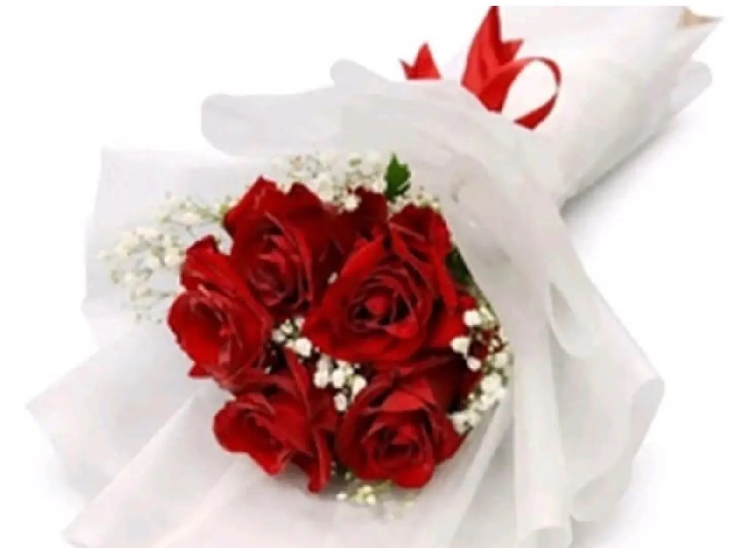 Yaqoot Love