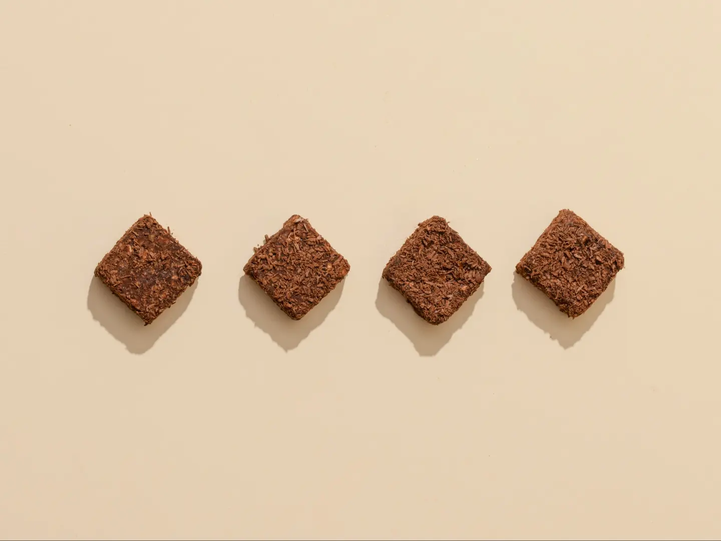 Coconut Bites
