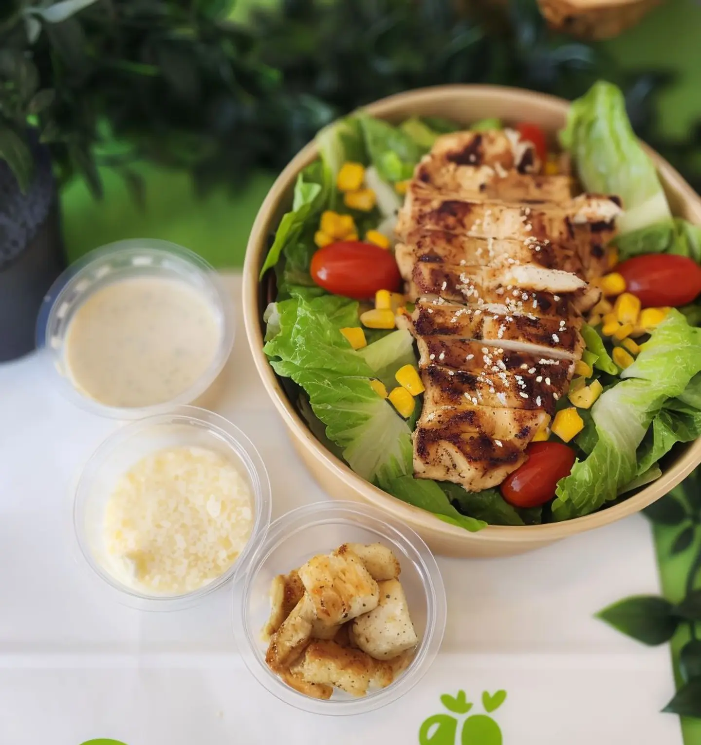 Caesar Salad With Grilled Chicken