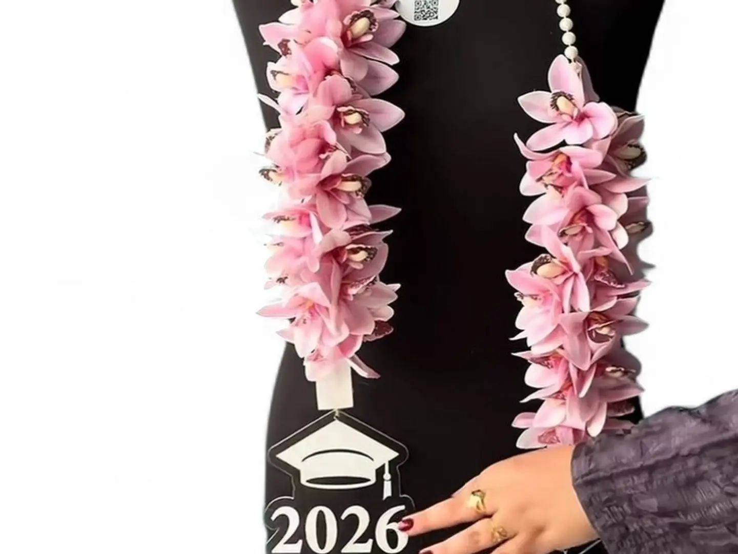 عقدالتخرج2026