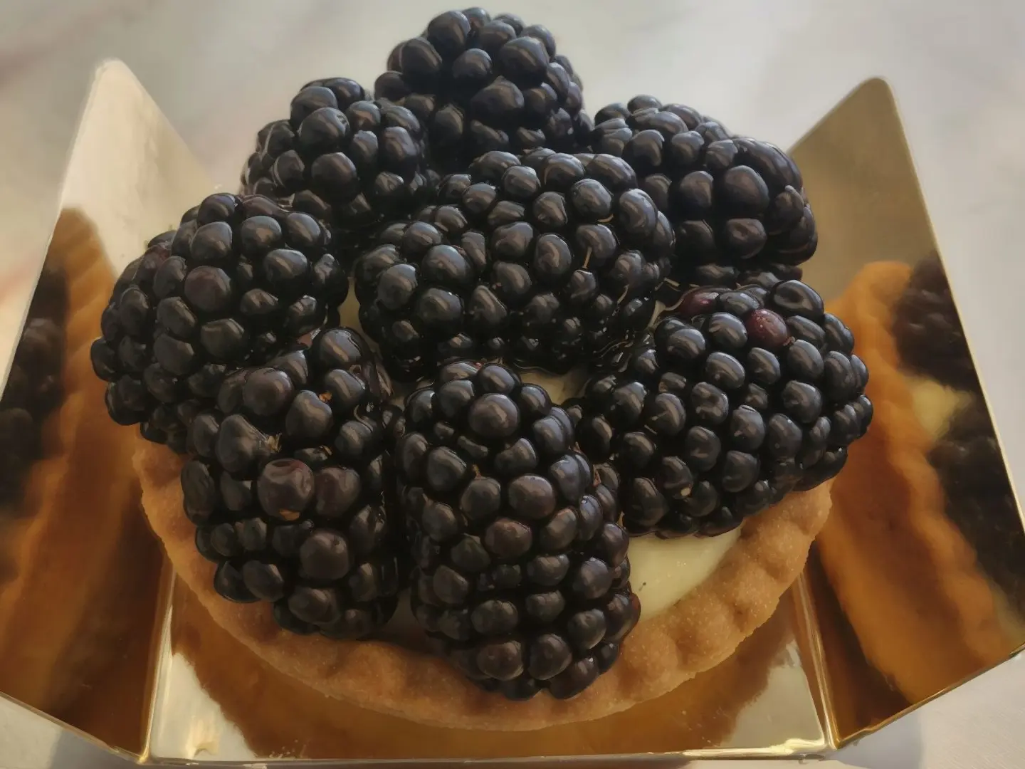 تارت توت اسود