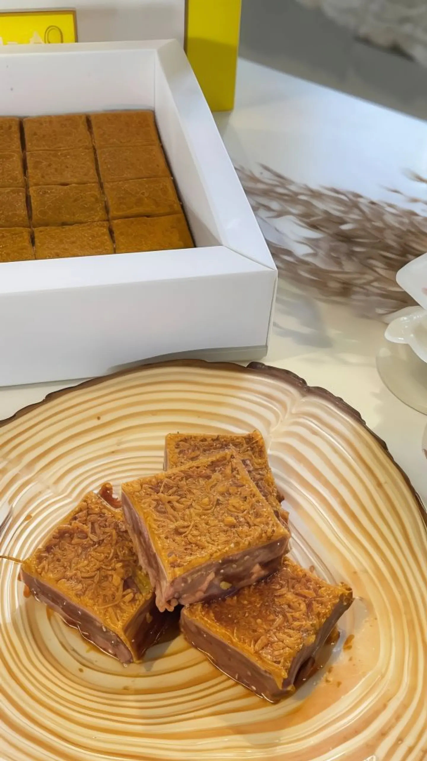 حلا فيوليتا لوتس