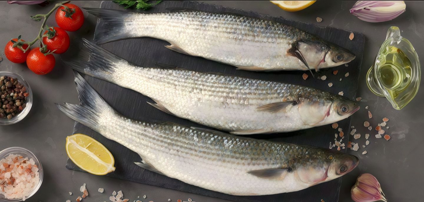 Mullet