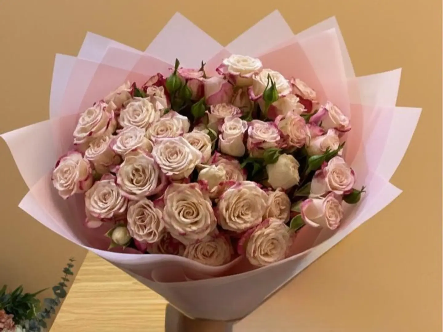 باقة احساس ورونق 4