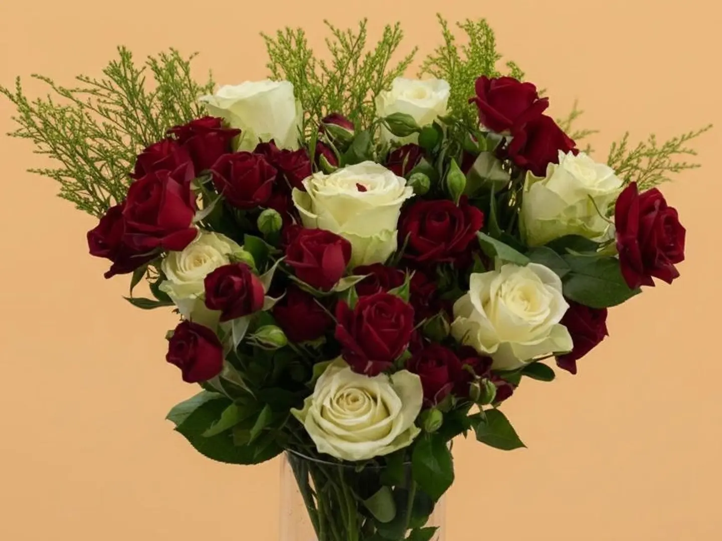 فازة المحبة