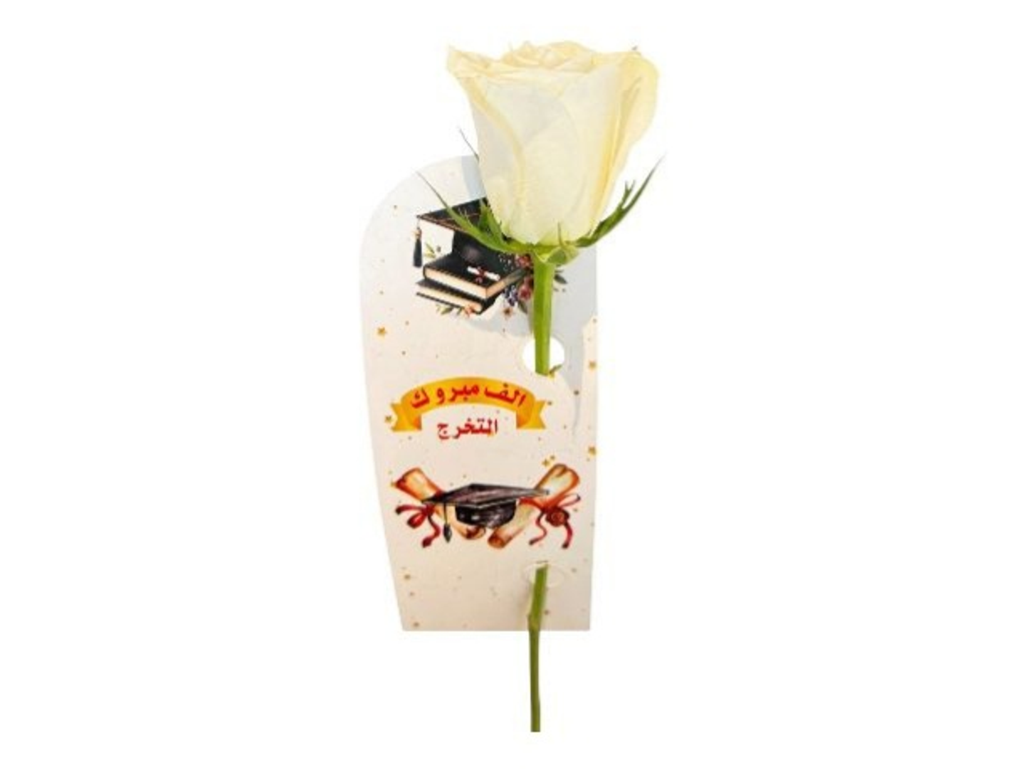A Single White Rose For Graduation
