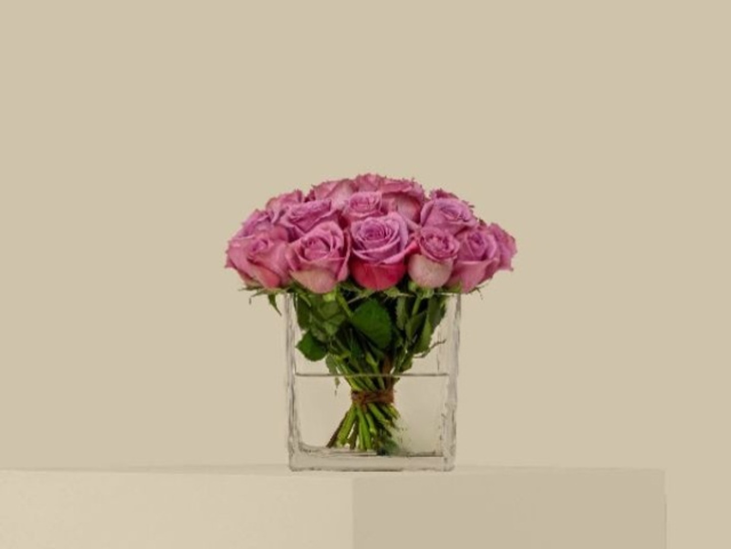 Square Vase With 15 Purple Roses