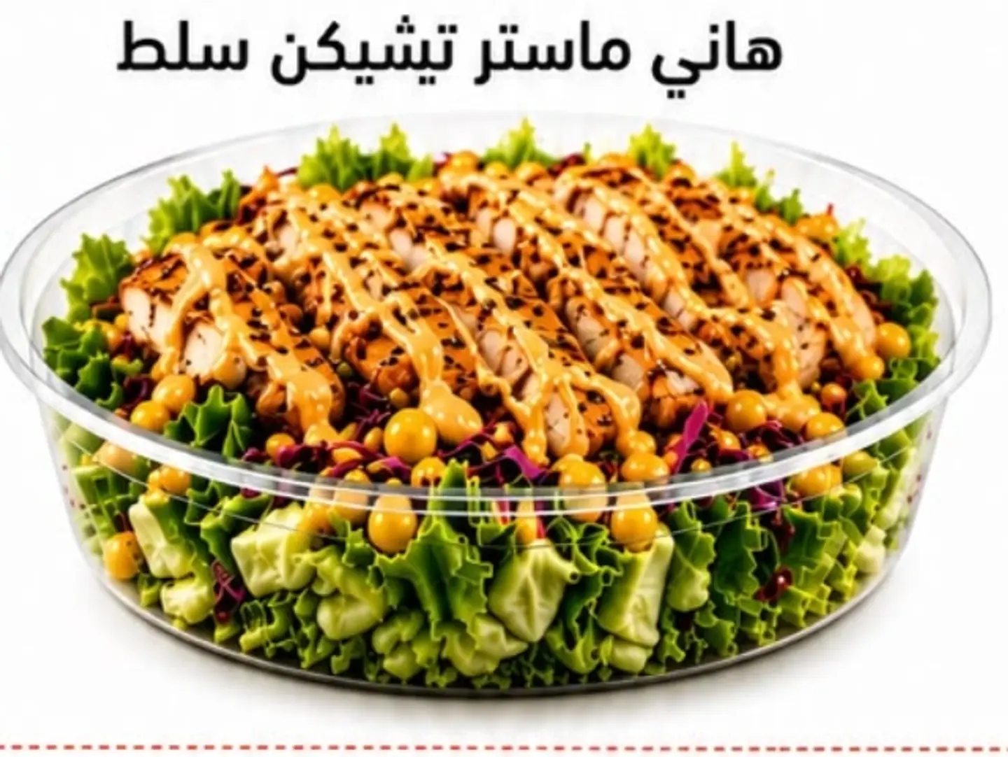 هاني ماسترد تشكن سلط