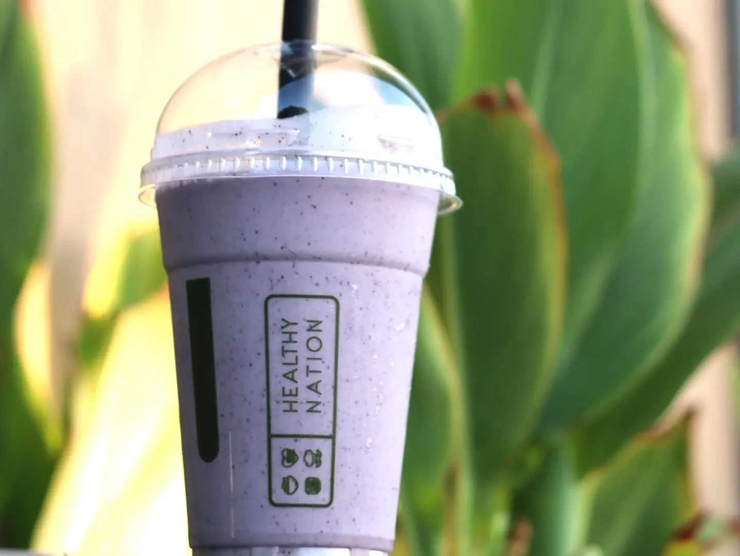 Berry Fuel