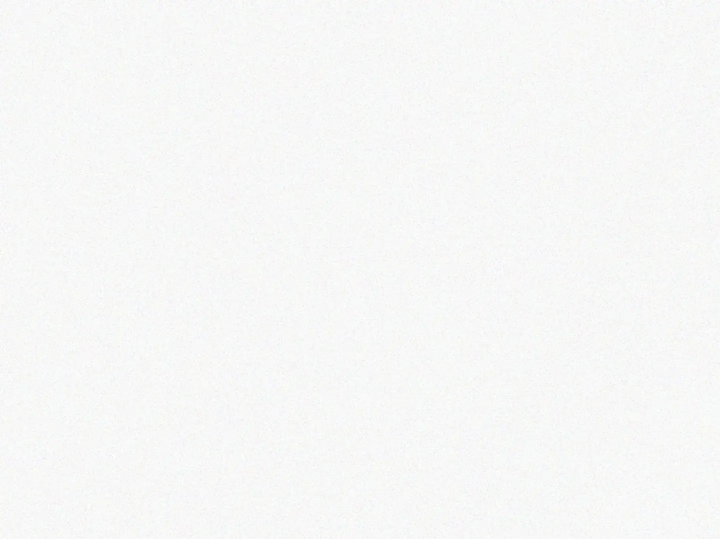 أرز برياني مع التندور