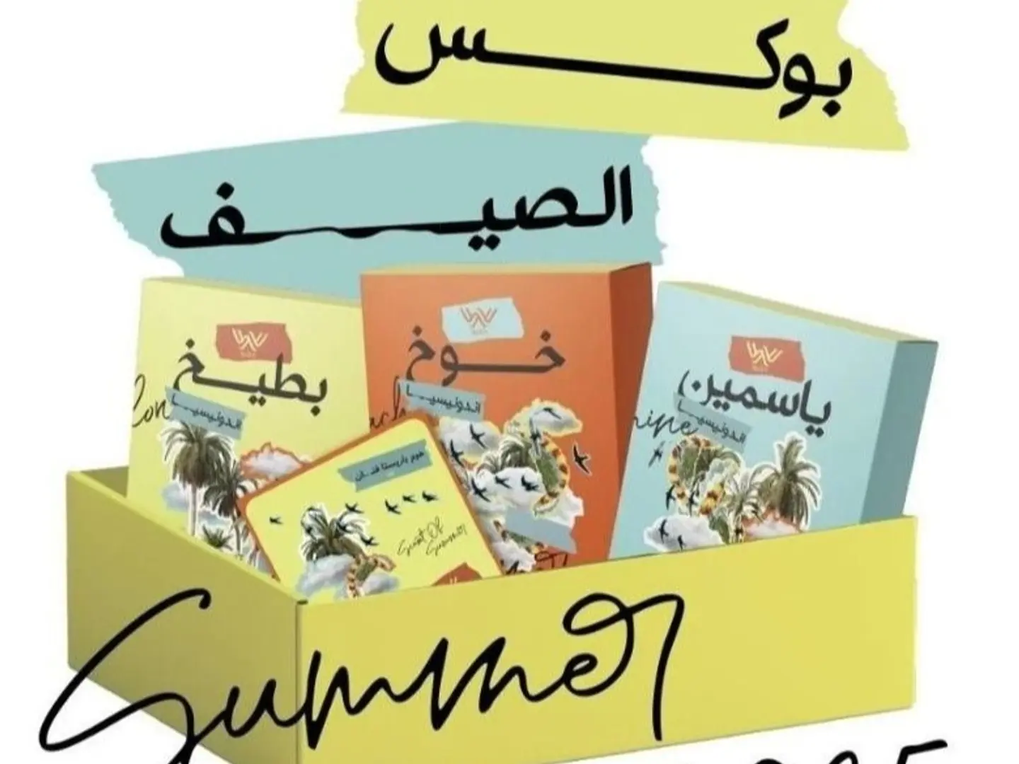 بوكس الصيف