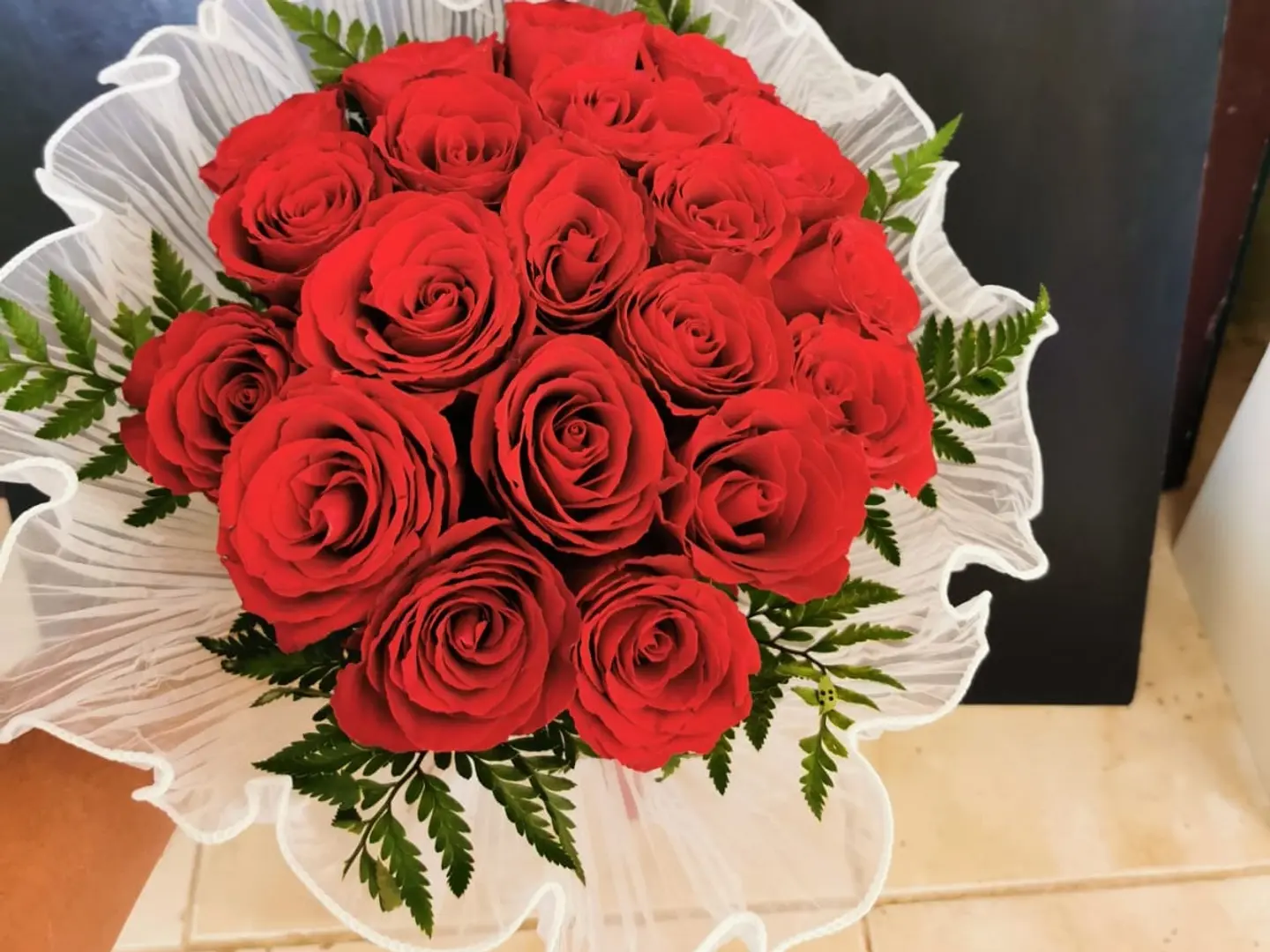 وردة حمراء02 2026