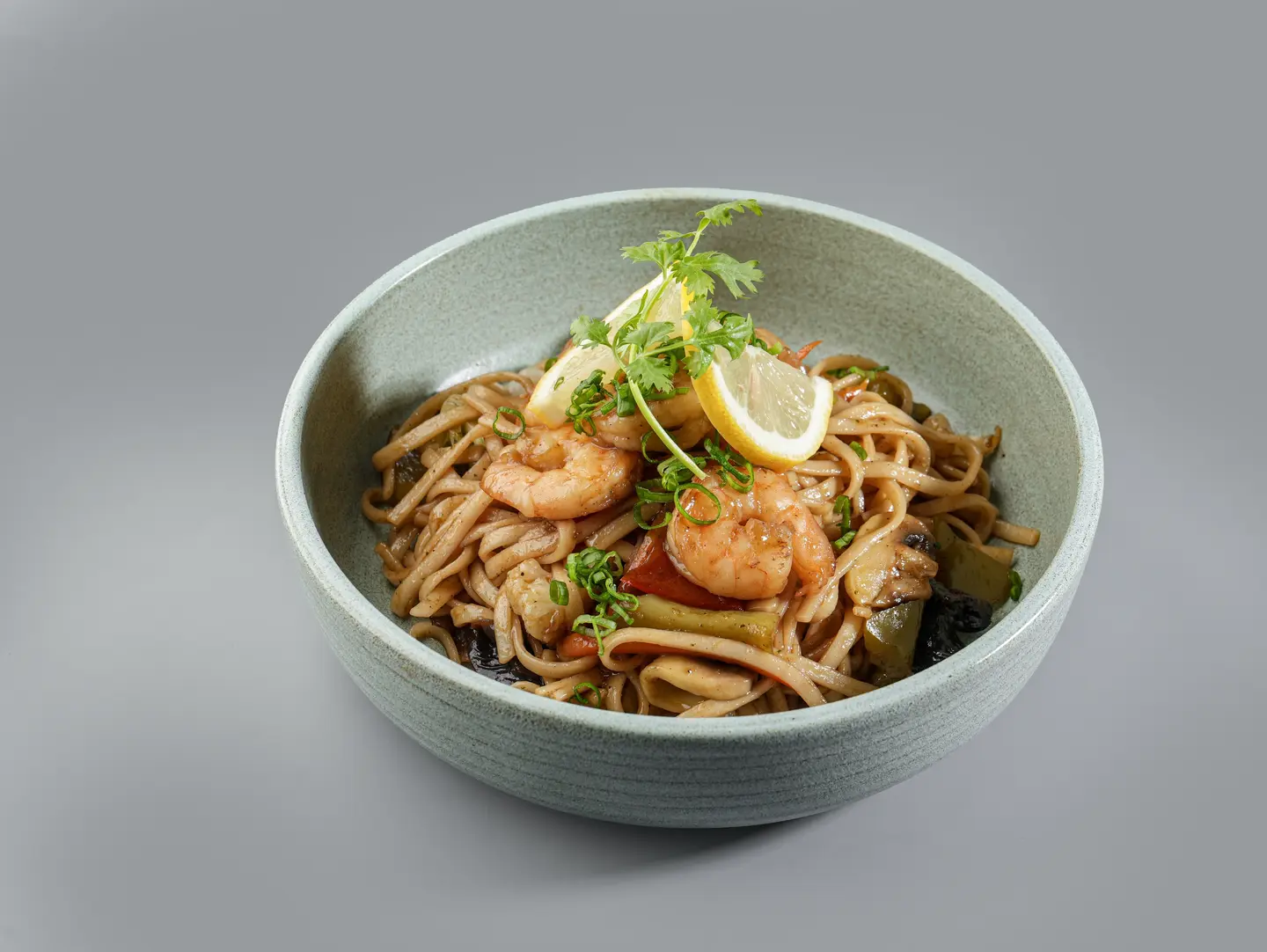 Chicken Udon Noodles