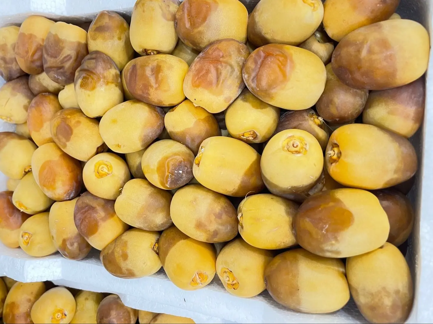 روثانا المدينه