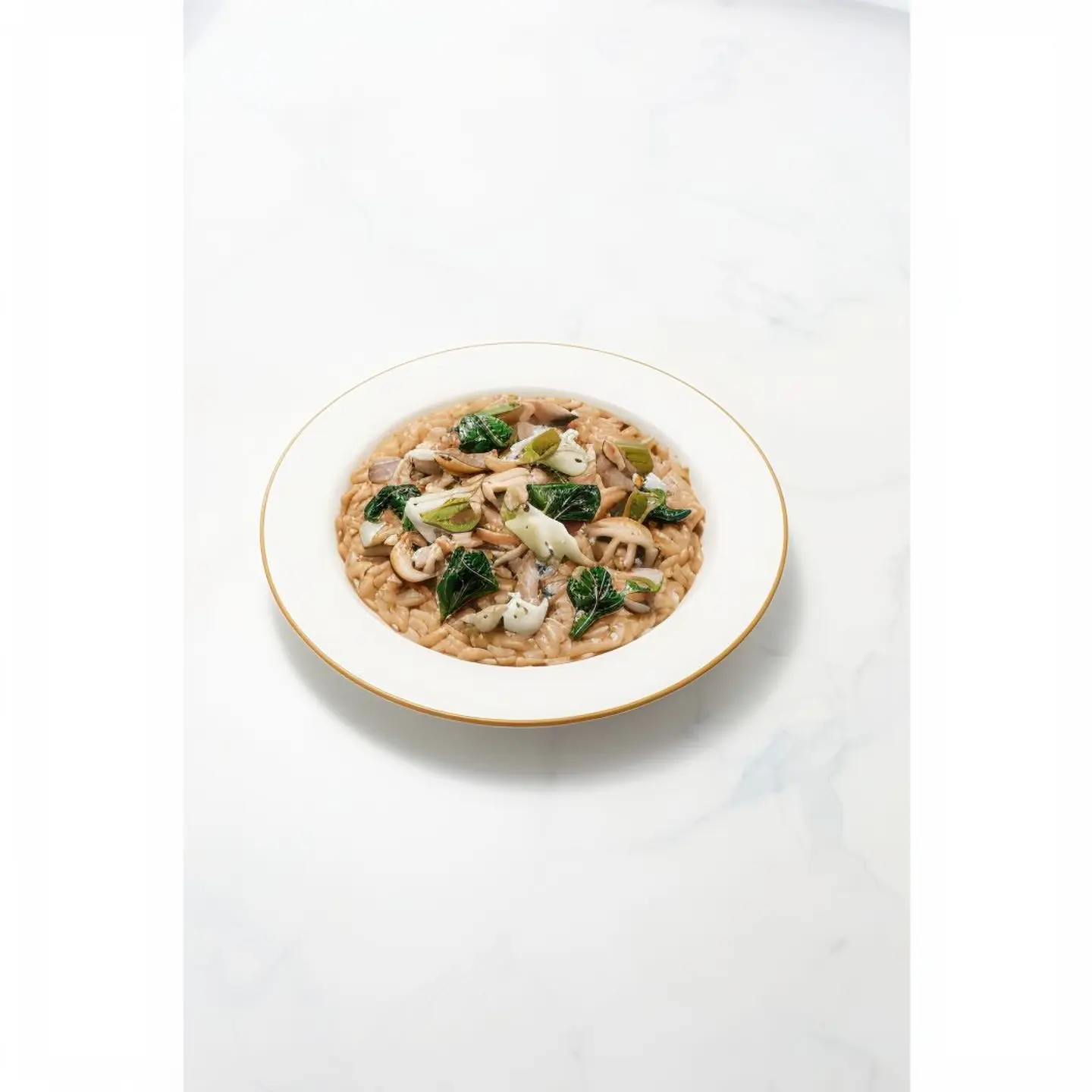 Funghi Risotto