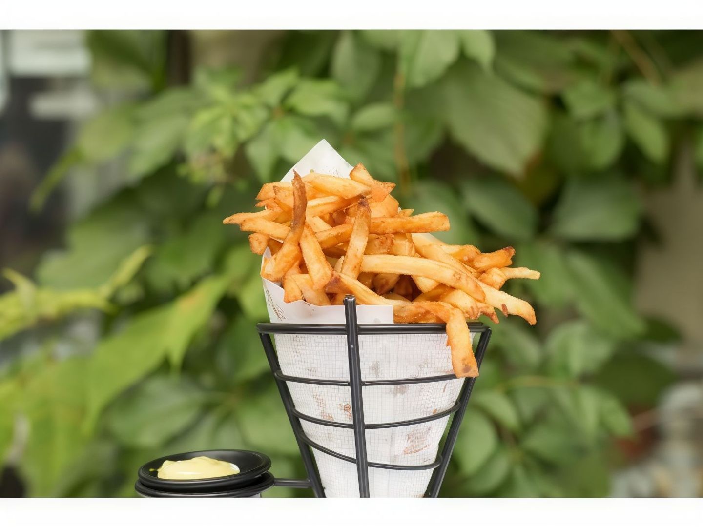 بطاطا كبير
