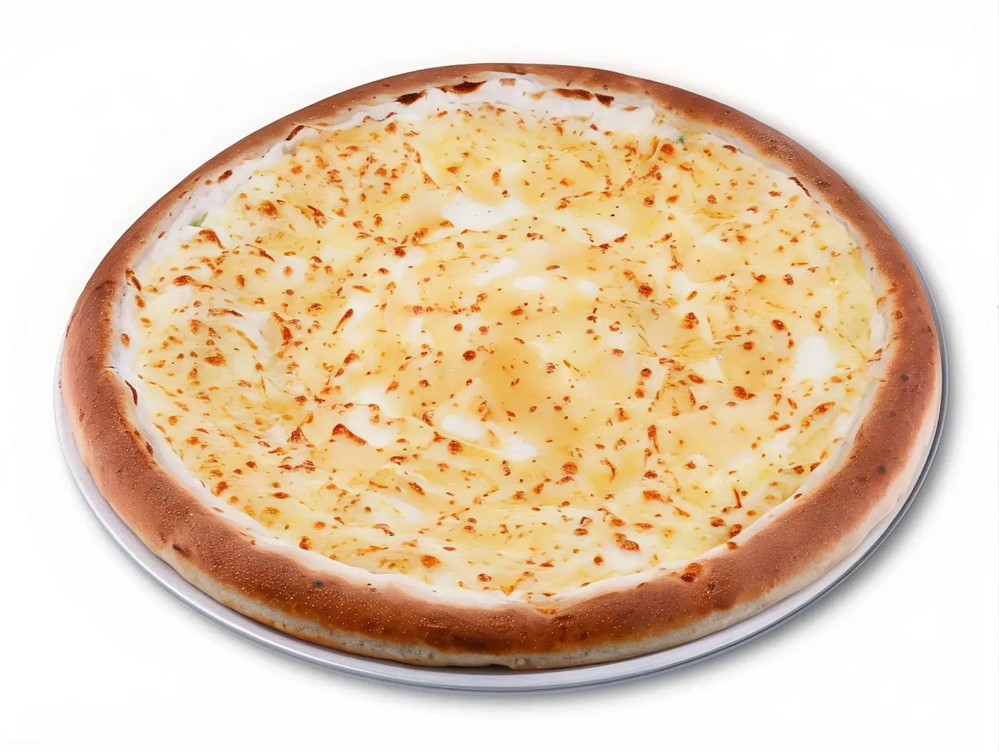 Ash Bulbul Pizza