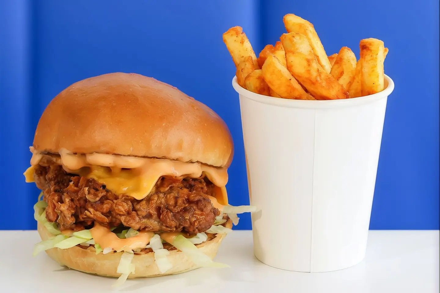 Spicy Chicken + Fries