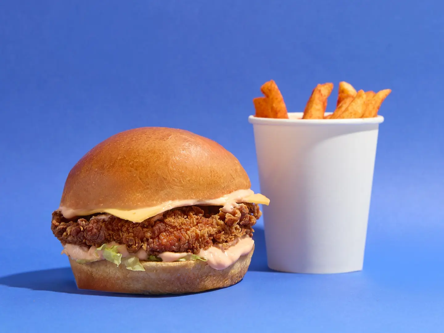 سبايسي تشيكن و بطاطس