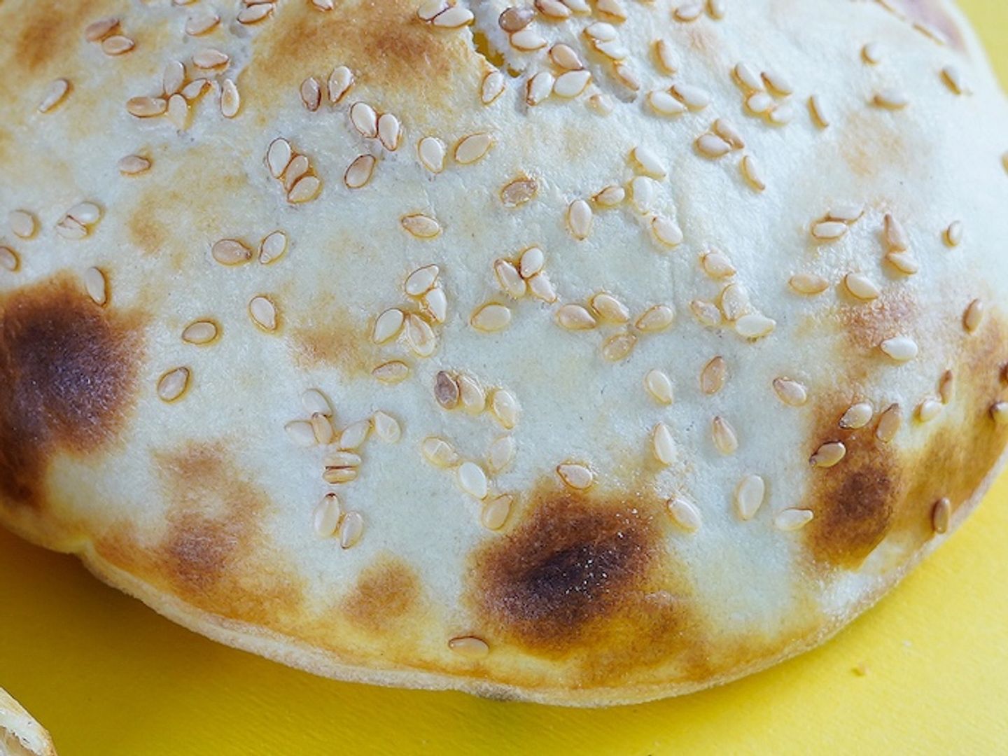 دجاج طازج