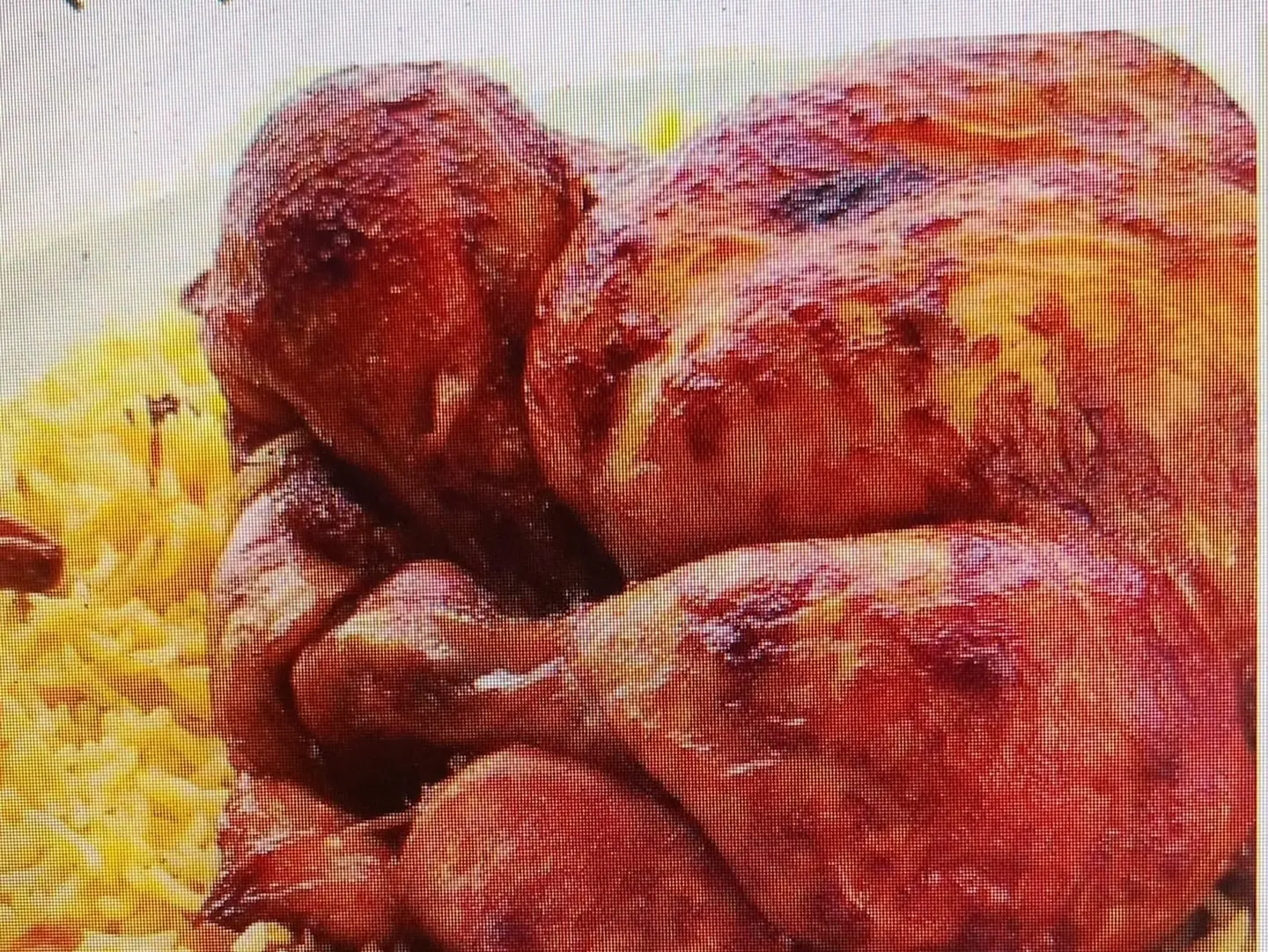 دجاجة مشوية مع الأرز