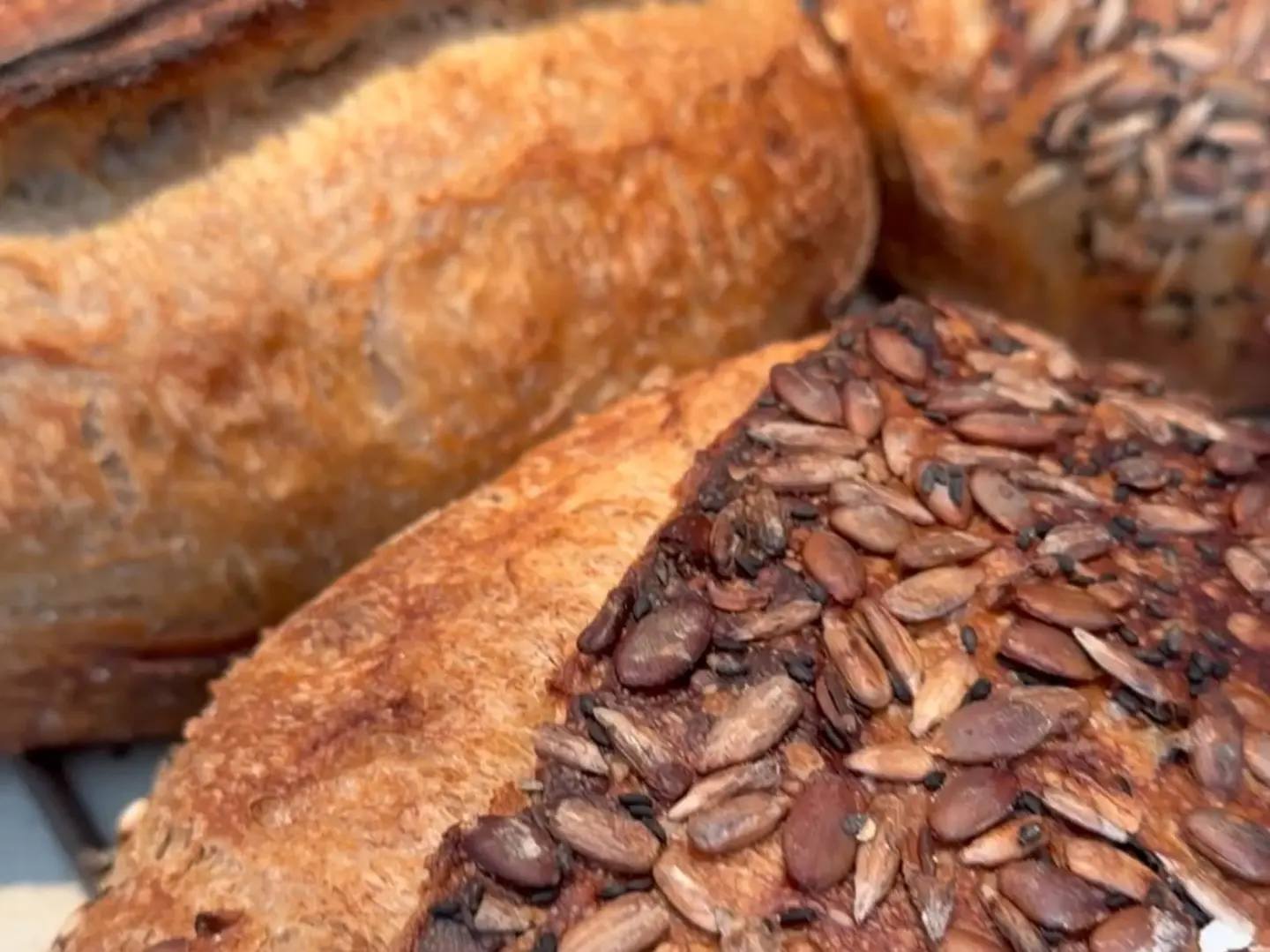 خبزة الساوردو