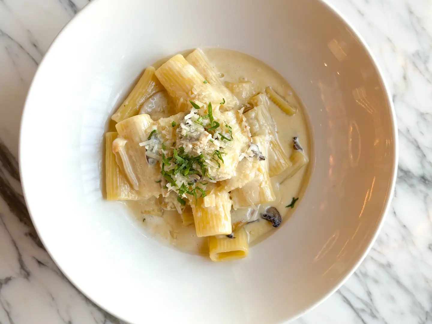 Mushroom Regatoni