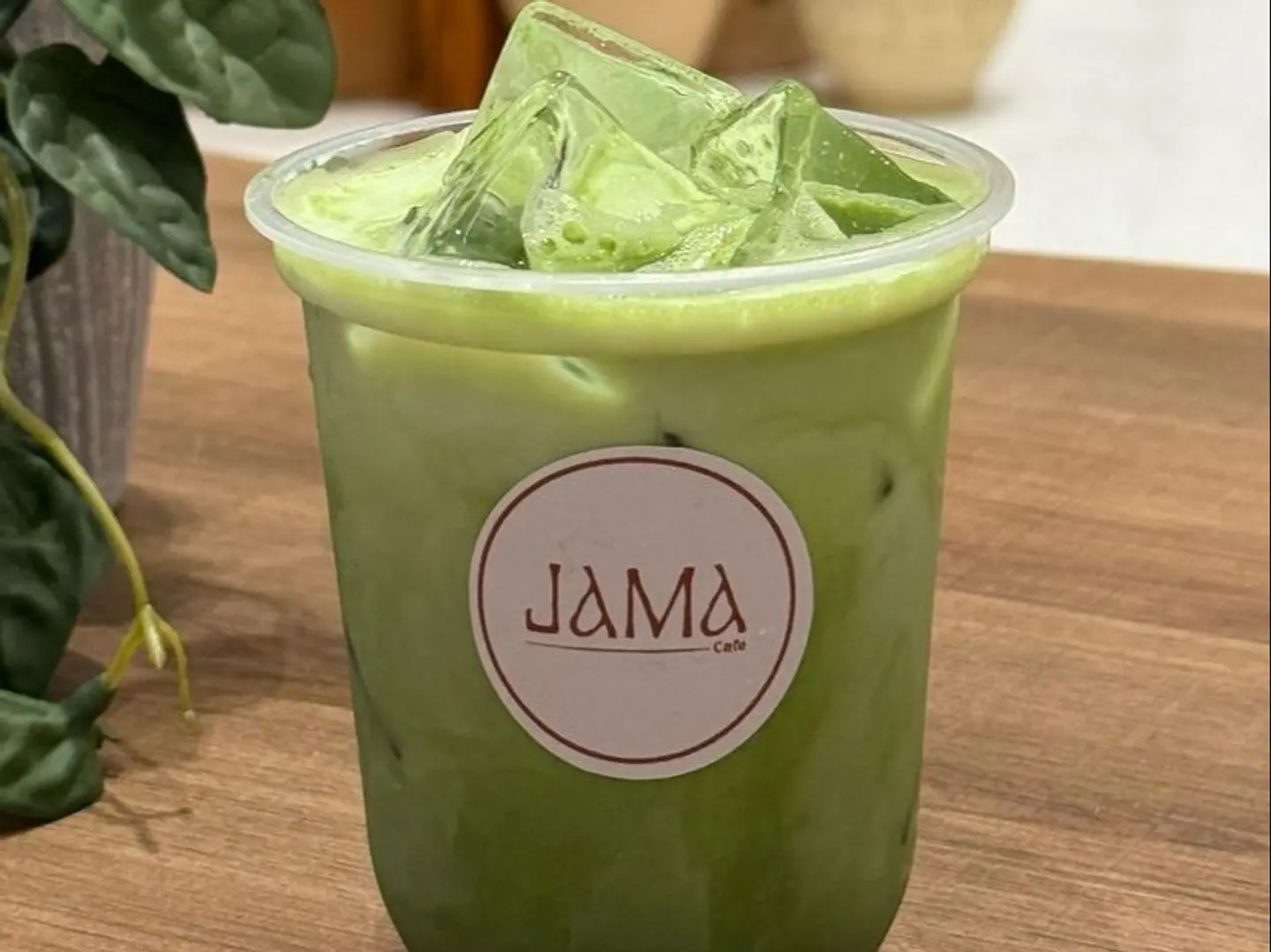 Iced Matcha Latte