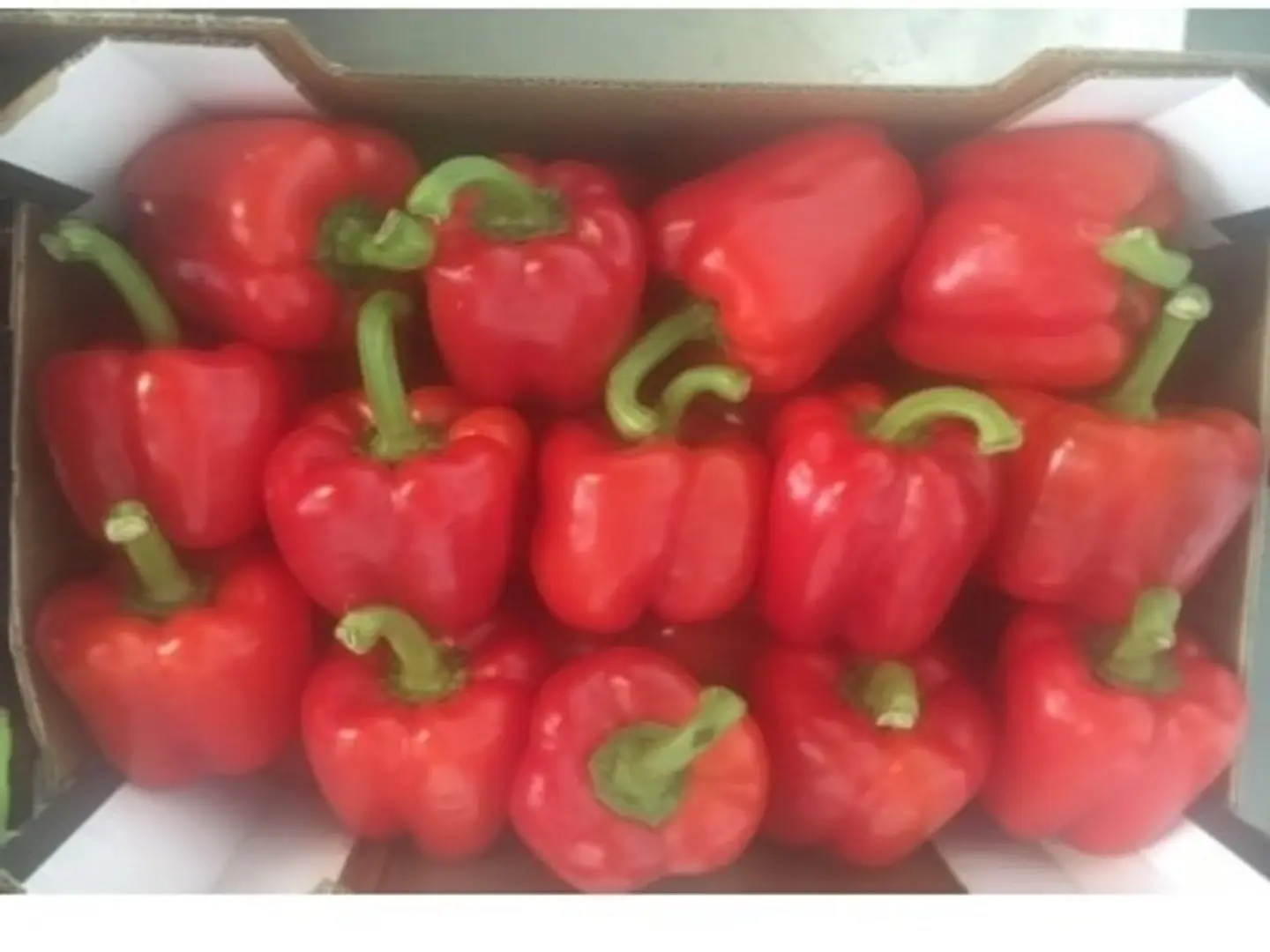 Imported Cold Red Pepper Fillen