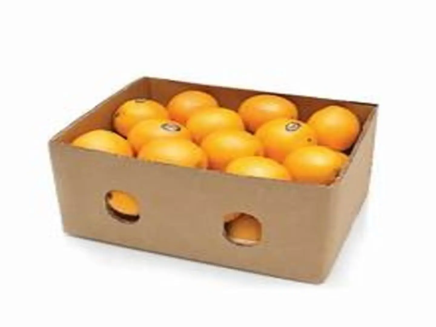 15 Kg Carton Juice Oranges