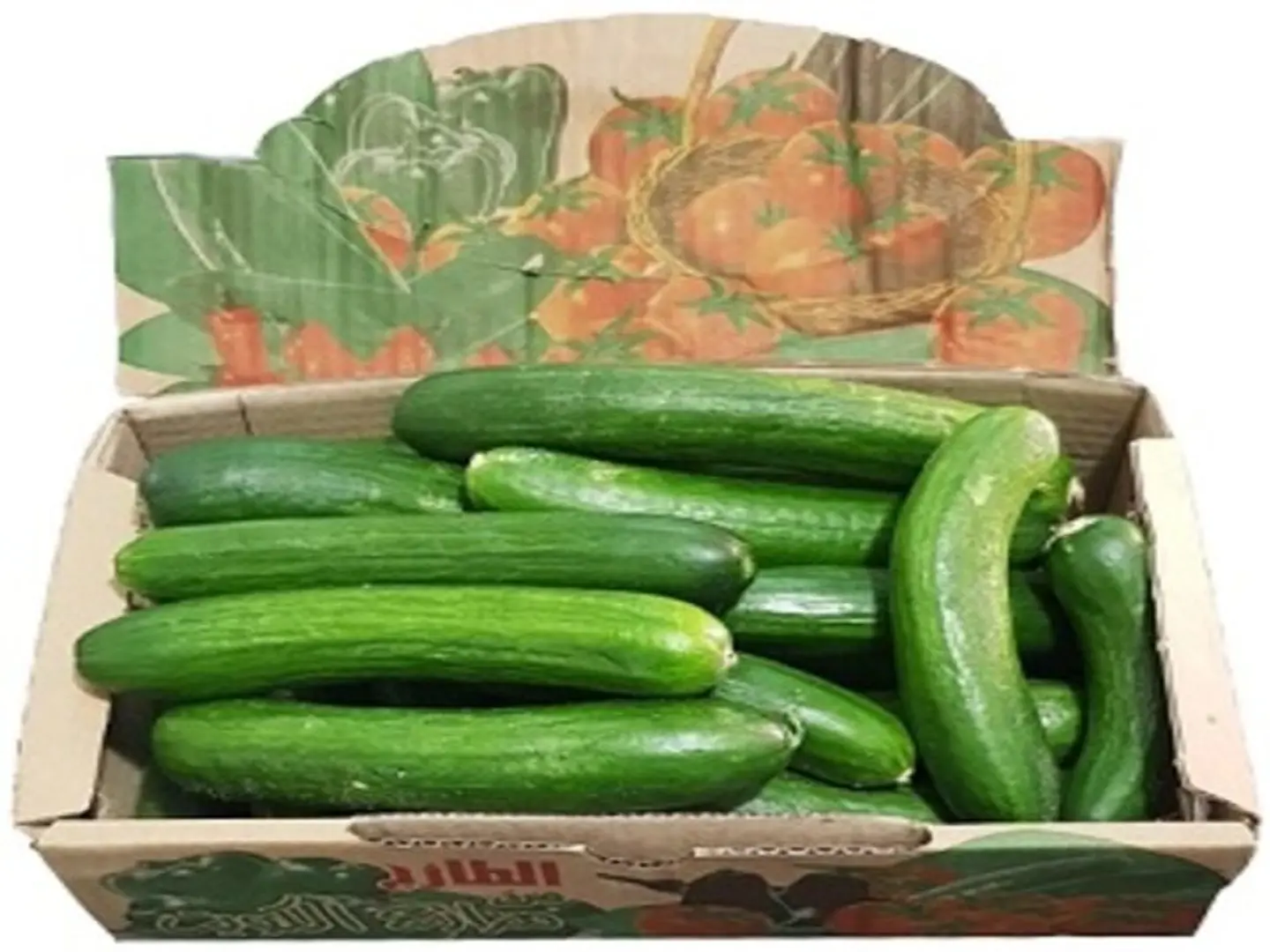 Carton Cucumber