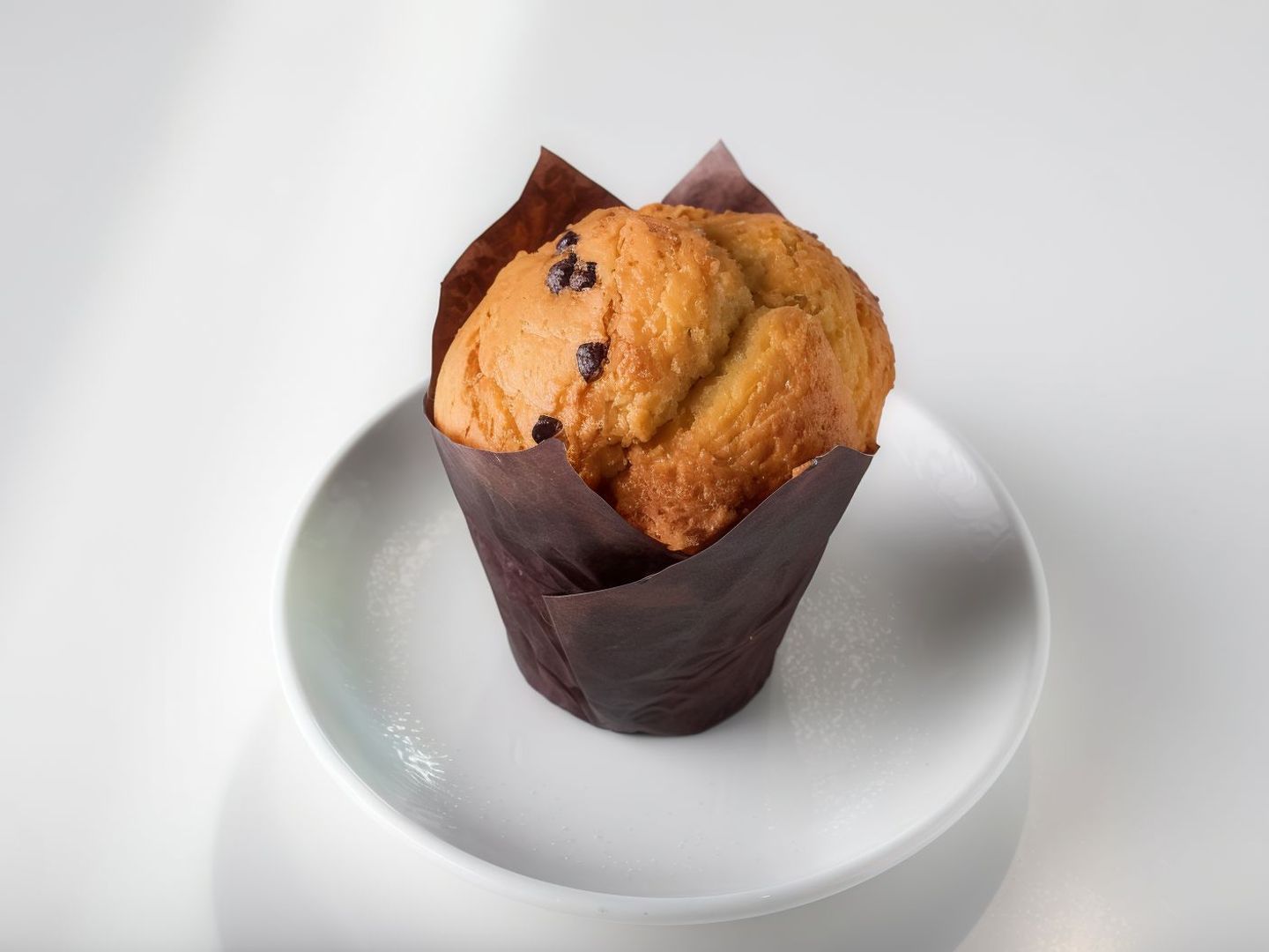 Vanilla Muffin