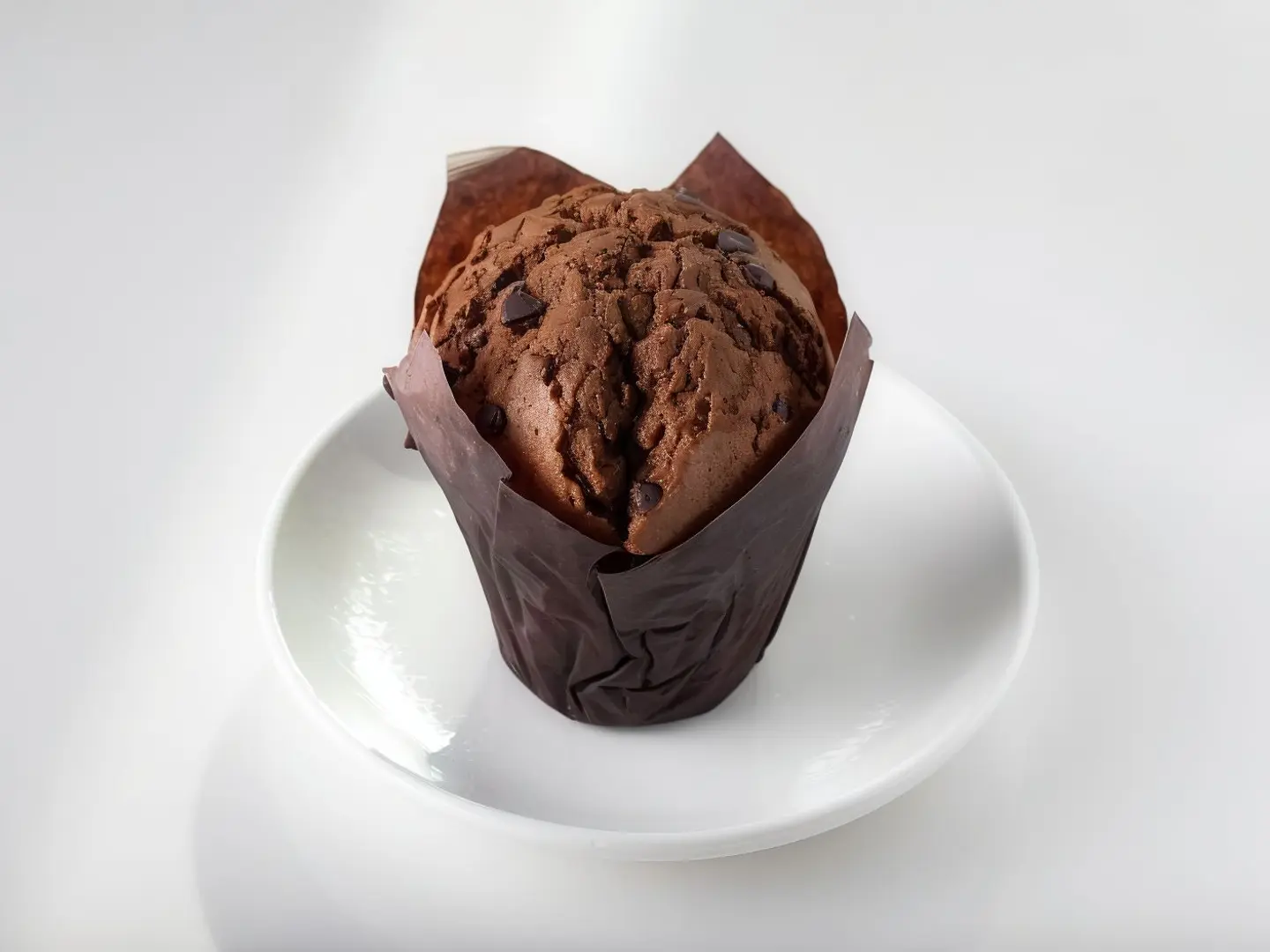 Chocolate Muffin