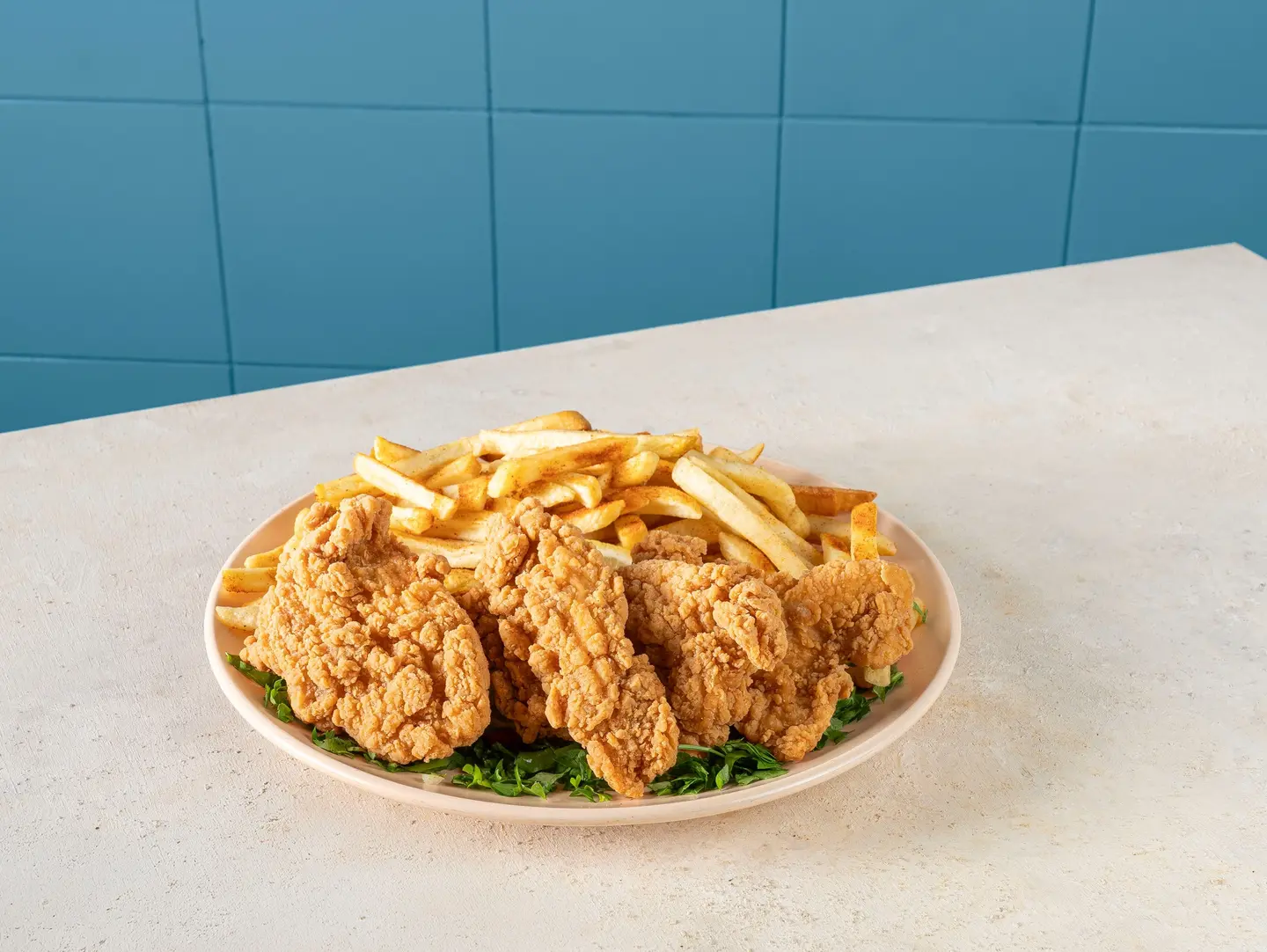 Chicken Pane With Fries