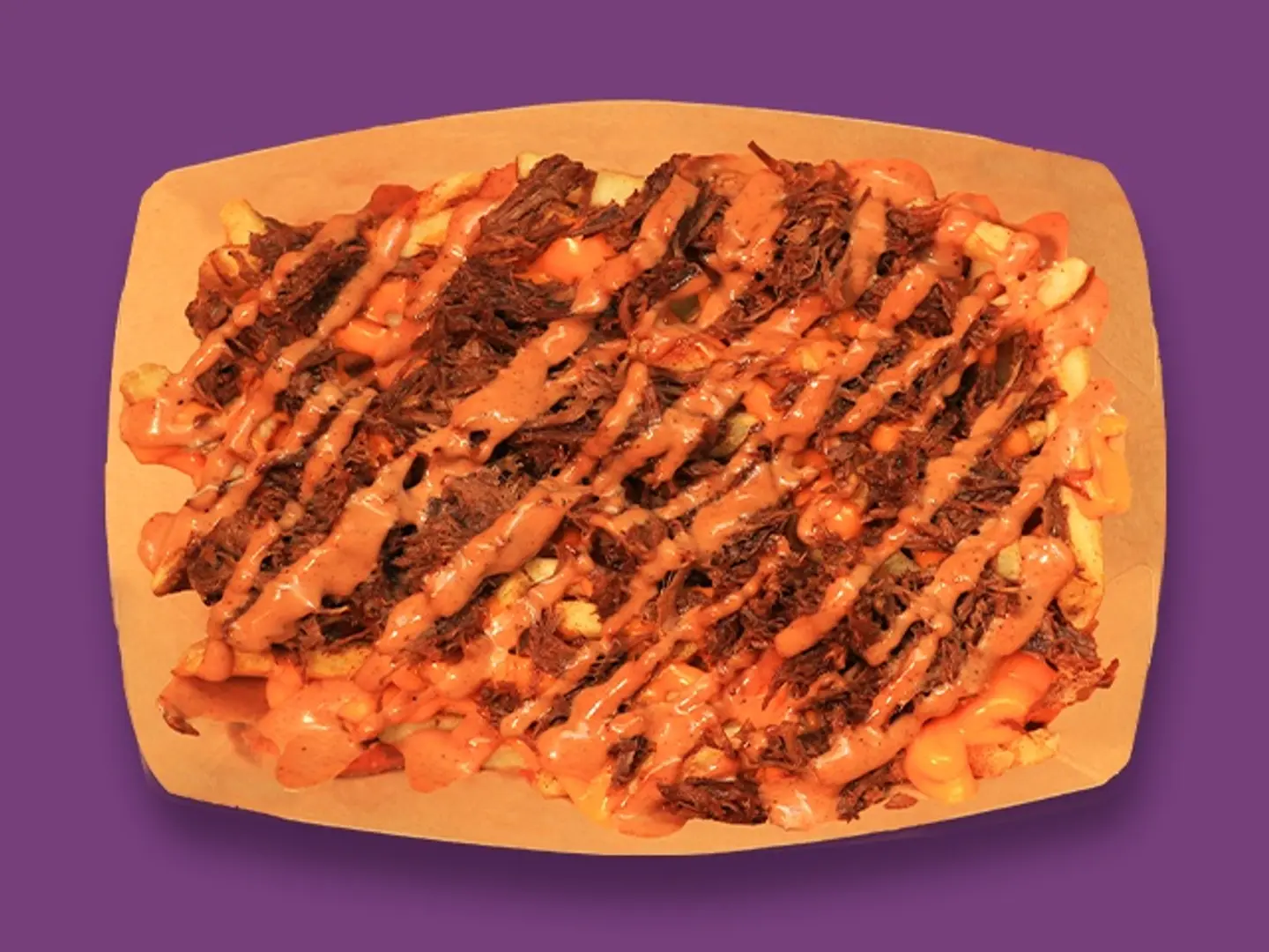 Shredded Beef Fries