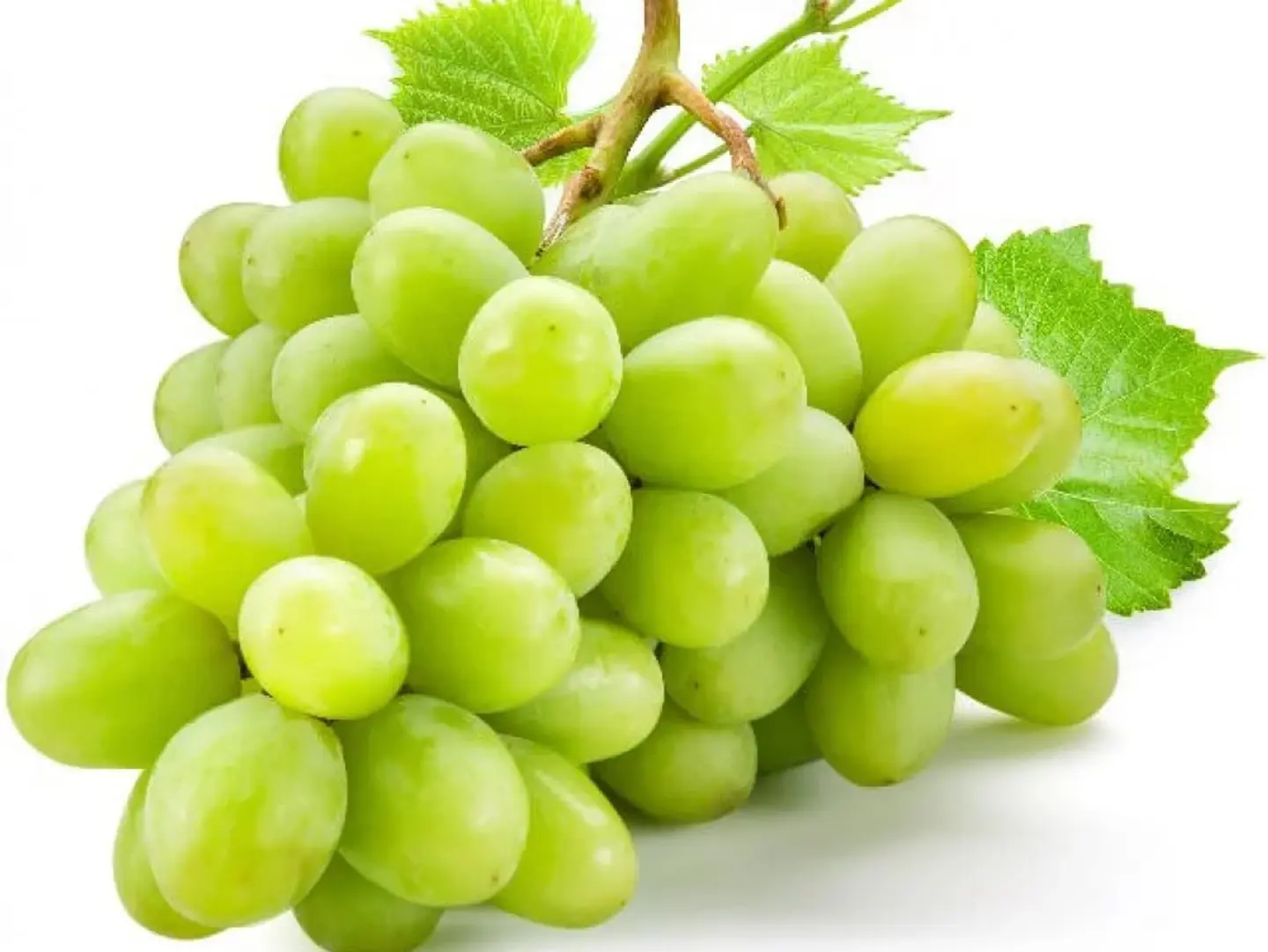 عنب اخضر نص كيلو