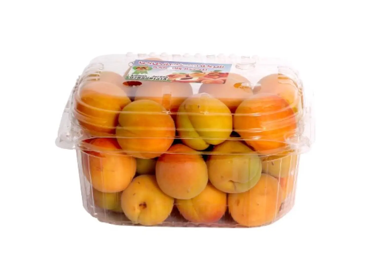 مشمش اردني علبه