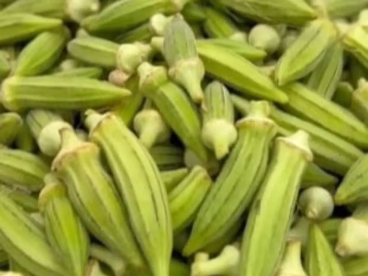 باميه ابيض كيلو