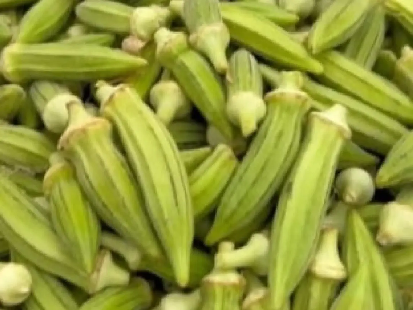 باميه ابيض فلين