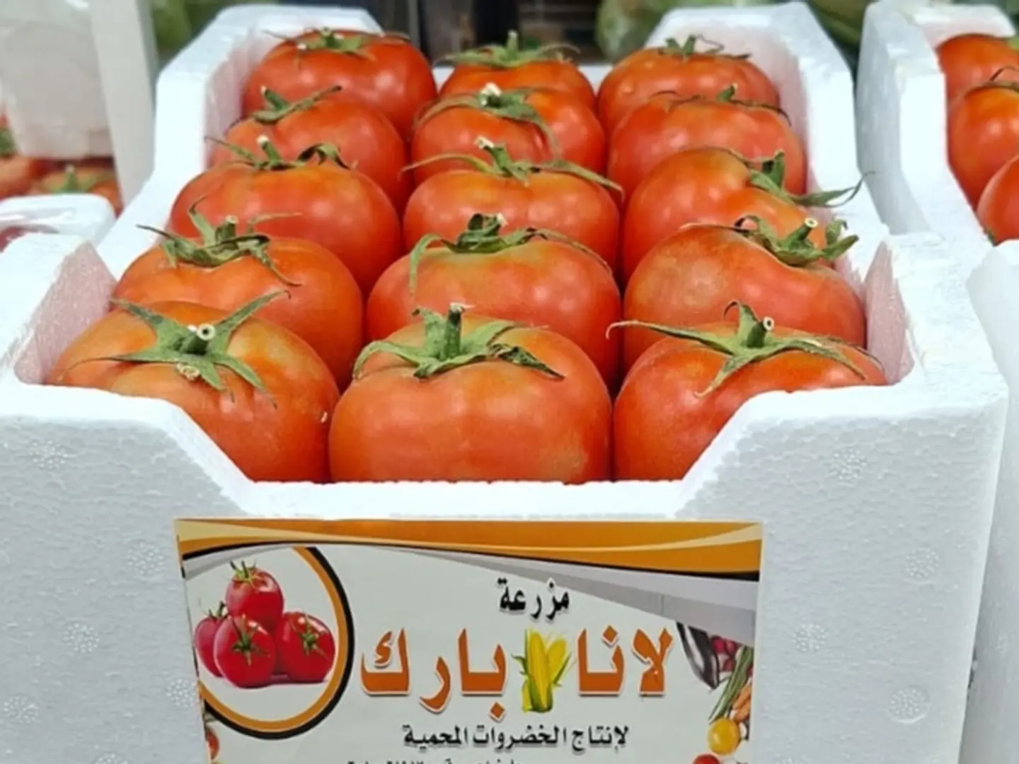 Tomatoes