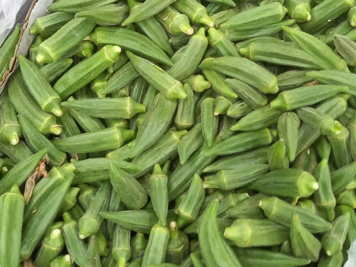 باميه خضراء نص كيلو